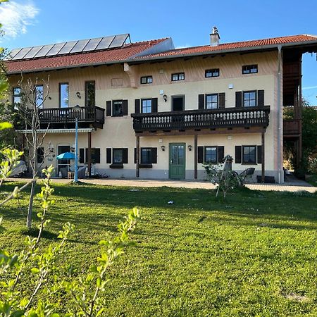 Loewenherz Homes Luxury Apartment - Stadt- Und Seenaehe - Fellnasenfreundlich - Lichtdurchflutet Stephanskirchen Eksteriør bilde